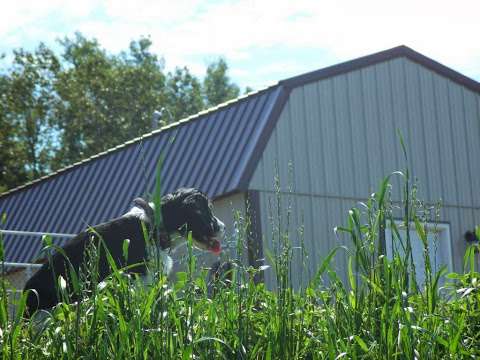 Heritage Farm Kennel